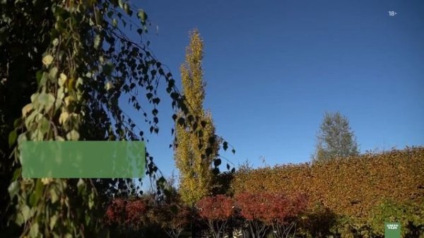 Обзор пейзажного сада.  Демонстрационный сад.