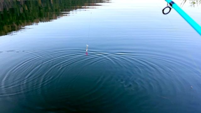 Одна из лучших баз, где мы были. Закрытие сезона и опять рыболовный провал. смотреть онлайн
