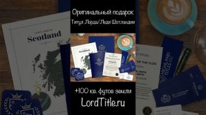 Черепахи Или Змеи - Кого Давят Водители Чаще