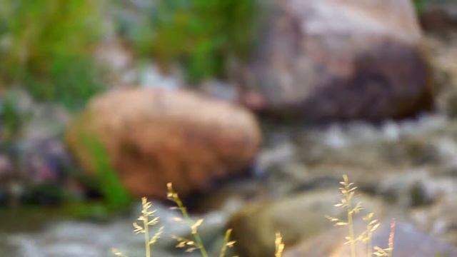 Macbook pro 2017 iMovie test - Summer 2017 смотреть онлайн