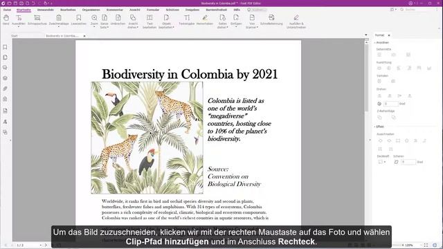 Fotos in PDFs einfügen & bearbeiten – Tutorial Foxit PDF Editor Pro смотреть онлайн
