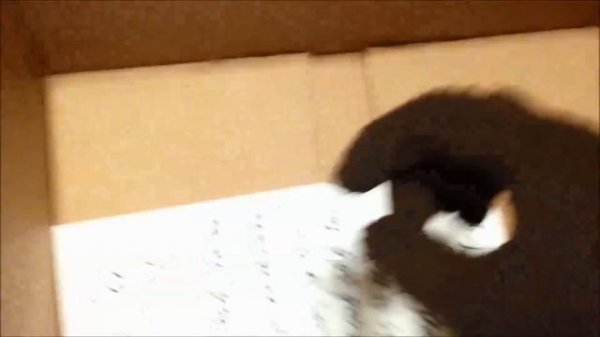 Apple Television Unboxing (iTV 4K)