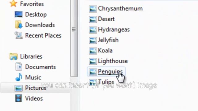 CD DVD LABEL (from Scratch)