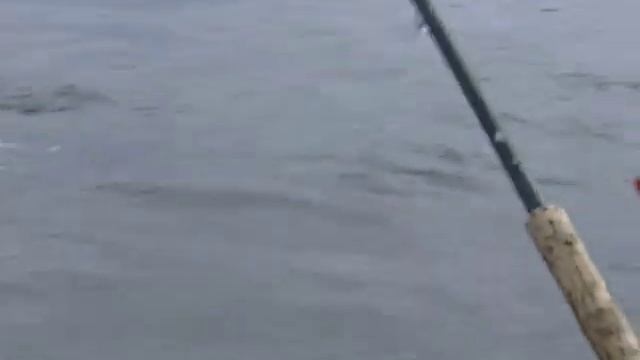 Going Fishing TV - Milbanke Sound with Denis Bester 2005 смотреть онлайн