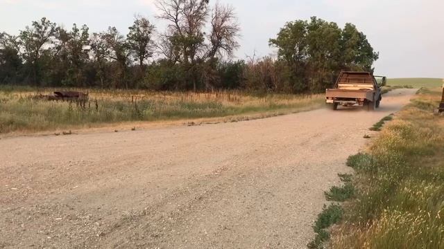 1987 Dodge D350 360 v8 with quad diamond stacks take off exhaust clip смотреть онлайн