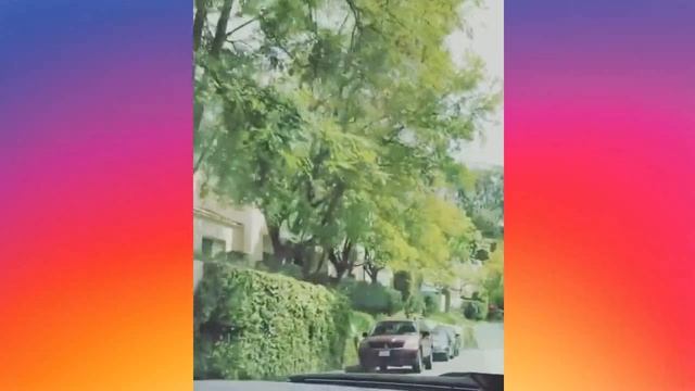 Elsa Jean All Instagram Videos 🔥👙 | # HIP | Elsa Jean Best Moments