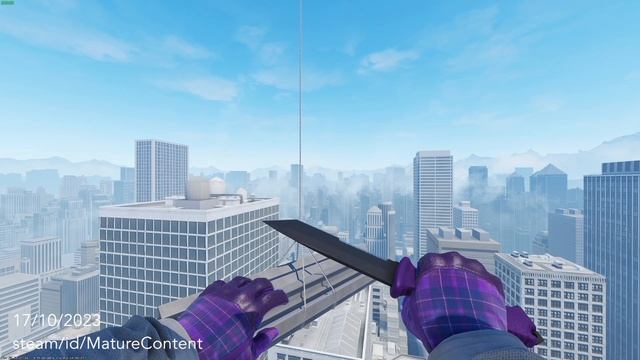 (SOLD) Imperial Plaid w StatTrak Ursus Ultraviolet Combo CS2 смотреть онлайн