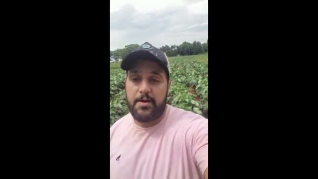 Resultados alunos - Curso de Produção de Quiabo (Rafael Martins) смотреть онлайн