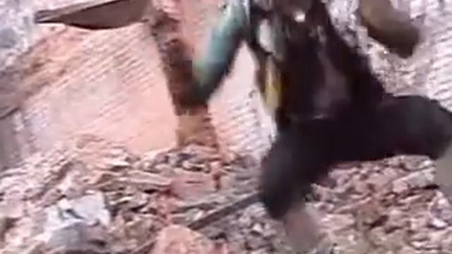 Пурген - Философия урбанистического безвременья