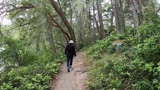Places we go to on Southern Vancouver Island Beauty смотреть онлайн