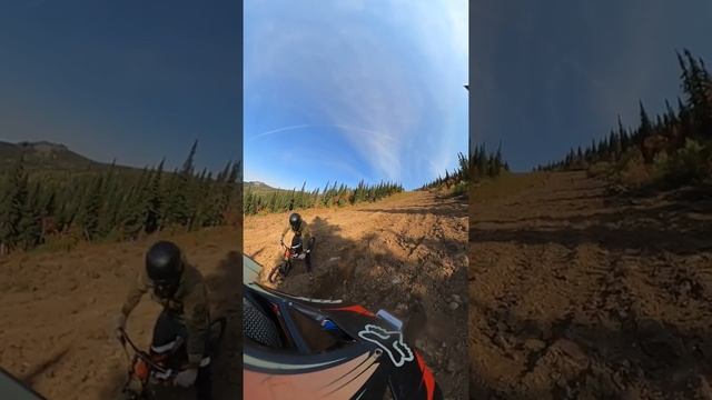 Шерегеш байк парк. Спуск под 45градусов. Внетрассовое катание. Freeride Mtb смотреть онлайн