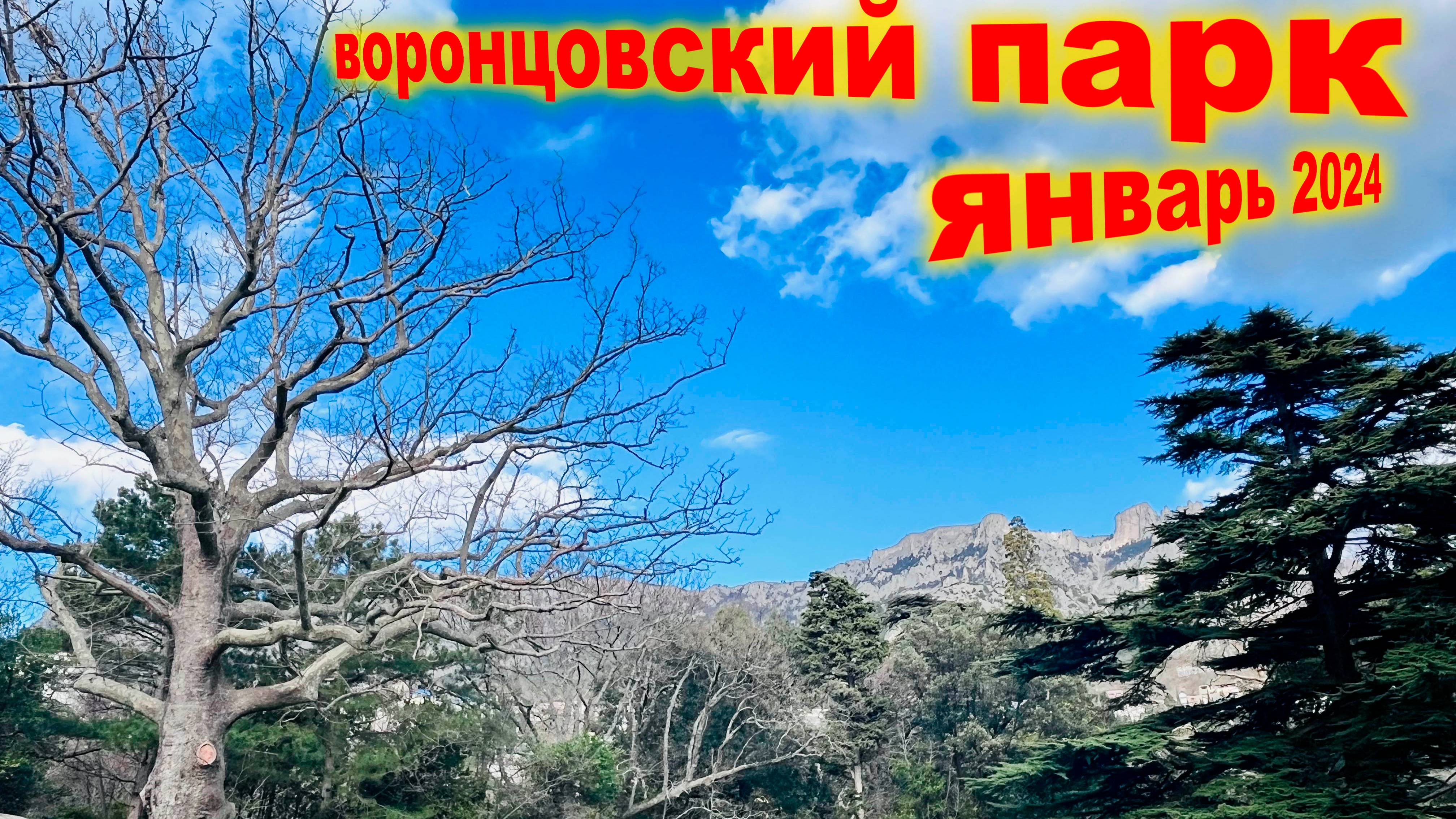 воронцовский парк HQ смотреть онлайн
