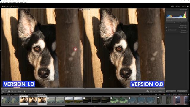 Topaz Photo AI Review (October 2022) смотреть онлайн