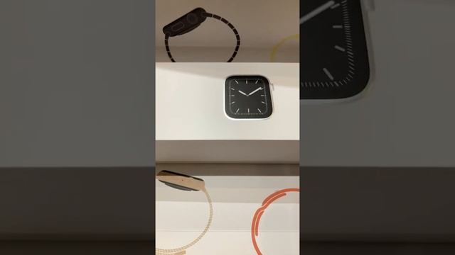 Apple Watch 5 Stainless Steel Case Milanese Loop 44 mm #1 смотреть онлайн