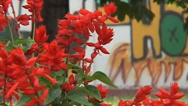 В мэрии рассказали, каким будет детский сквер в Новозыбкове смотреть онлайн