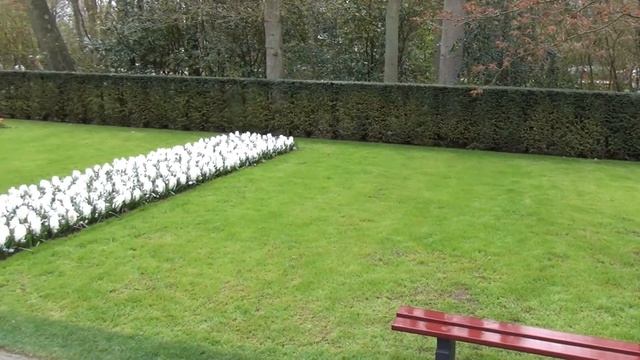 Голландия. Парк цветов Кёкенхоф. смотреть онлайн