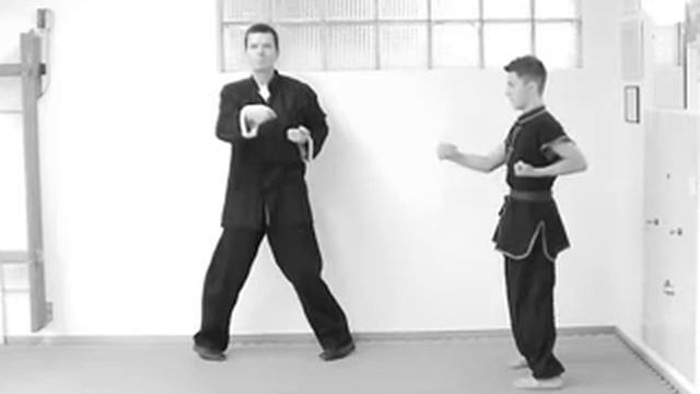 AIHU KUNG FU Bern Siu Lim Tao Wing Chun Daniel Hulliger & Stefan Ilic смотреть онлайн