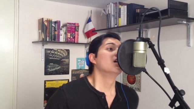 It's My Life (Cover by Gérard Meson) смотреть онлайн