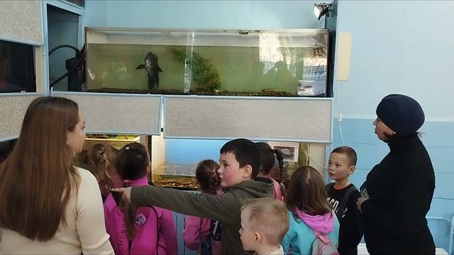 Экскурсия в Эколого-биологический центр. ДОУ 82 Братск смотреть онлайн