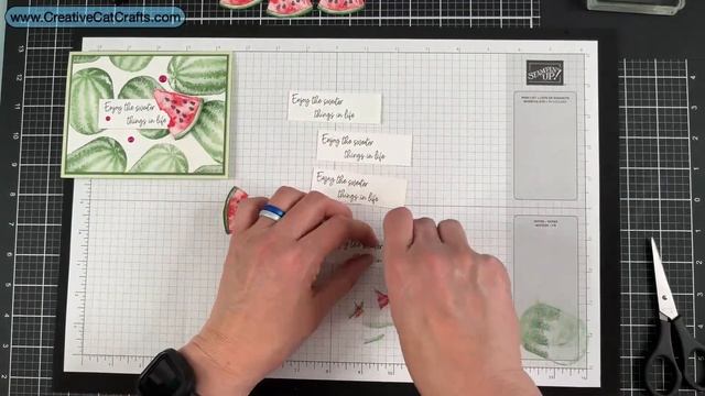 Stampin' Up! Sale-a-bration Watercolor Melon One Sheet Wonder смотреть онлайн