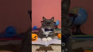 ПОДЕЛКИ НА ТЕМУ ХЭЛЛОУИН.