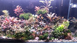 улучшаем фильтрацию