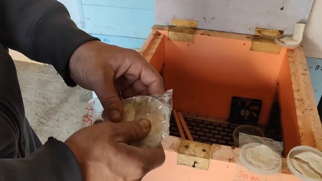 500+ Тестирование геля с муравьиной кислотой. смотреть онлайн