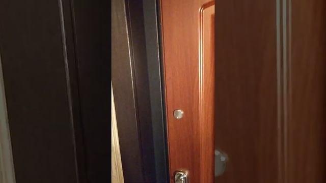 Входная дверь 3К ЛОНДОН Аргус смотреть онлайн