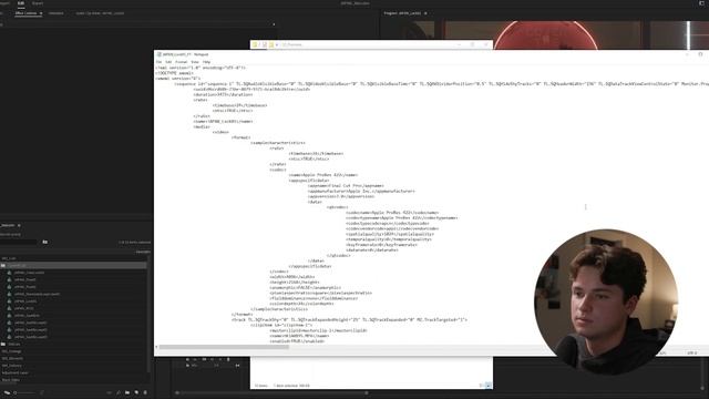 My XML Workflow (Premiere to Resolve) смотреть онлайн