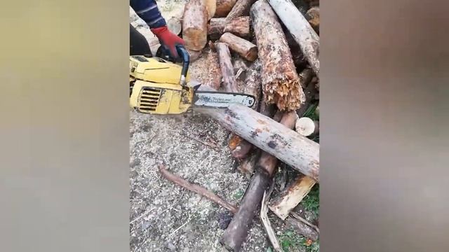 Mcculloch pro mac 700 chainsaw cutting some wood смотреть онлайн