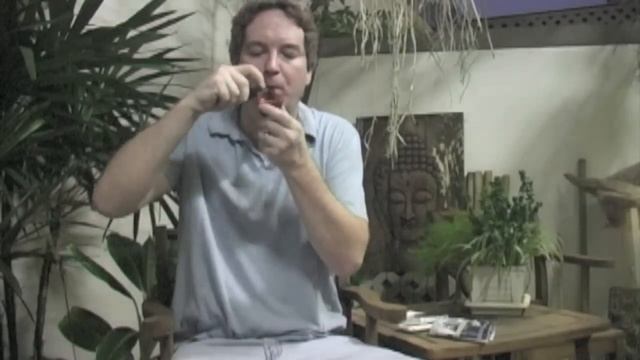 Bjarne Pipe and 7 Seas by Mac Baren смотреть онлайн