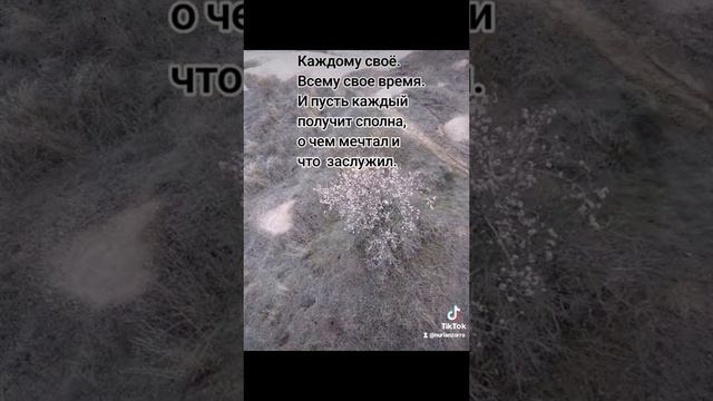 Высказывание