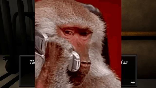 اكتشفت النهاية الحقيقية للعبة رجل النافذة 2 !! ( لا تحاول تقتله !!؟ ) - The Man from the Window 2 смотреть онлайн
