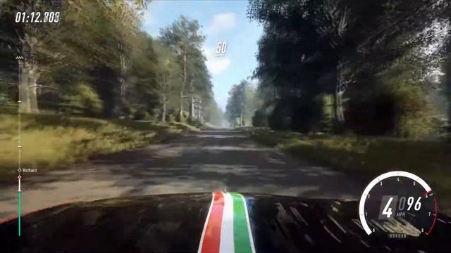 Dirt Rally 2.0 Multiplayer Gameplay