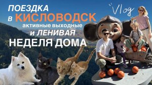 ПЕРЕЕХАЛИ В СЕЛО НА ЮГЕ #9. Поездка в Кисловодск и ленивая неделя.