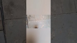 ремонт автономке выдает ошибку Е-2