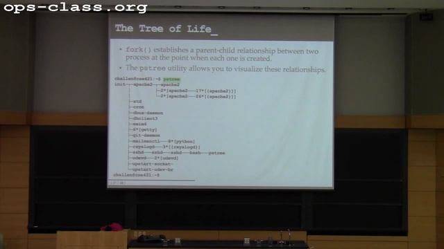 04 Feb 2015: Fork and Synchronization смотреть онлайн