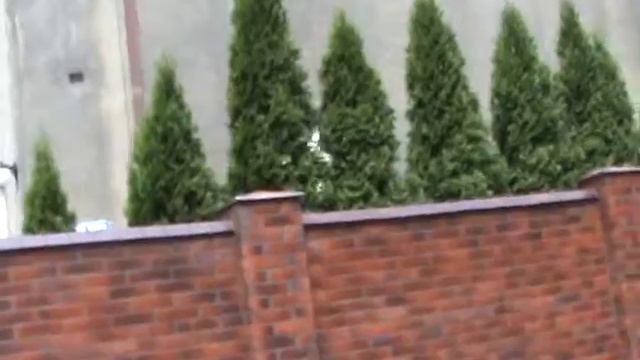 Роддом в Жагани смотреть онлайн