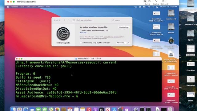 Update macOS Big Sur Beta to Final / Public Release Version! 3 Different Ways - Big Sur 11.5 смотреть онлайн