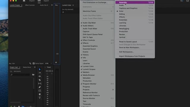 How to Reset premiere pro lay out on Mac смотреть онлайн