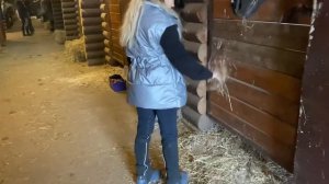 Vlog Еду на родительское собрание ! Новая амуниция Алисы для конного спорта!