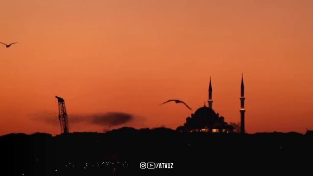 Бойликни Оёқларингиз Остига Тӯкиб Қӯяди! Бу Икки Оят Ва Зикр ИнШаАллоҳ! @ATVUZ