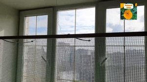 ПРОСТАЯ, БЮДЖЕТНАЯ, ИЗЯЩНАЯ ЗАЩИТА РАССАДЫ ОТ КОТА.