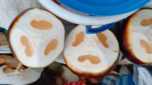 ഇത്രയും ഫ്രെഷ് ഫീൽ തരുന്ന Drink വേറെയുണ്ടാവില്ല |ice apple drink | Pananogu | palm fruit |Malayalam смотреть онлайн