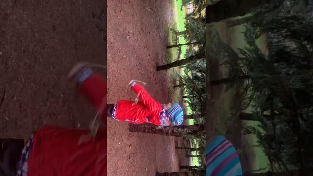 Софины видосики смотреть онлайн