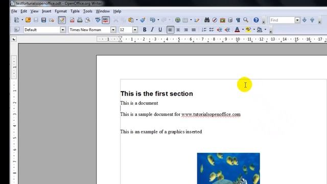 Apache Open Office Writer How To Open, Save, Password Protect, and Close Document смотреть онлайн