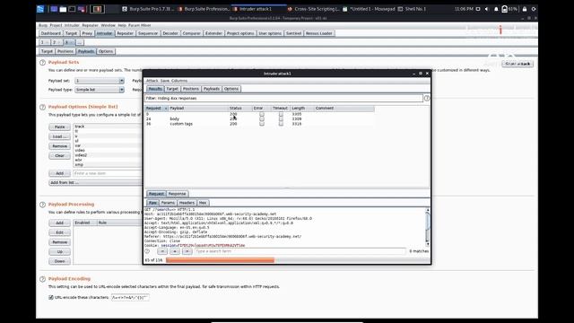 [HINDI] Finding XSS Vulnerabilities with Burpsuite Pro.| Download Burpsuite Professional FREE смотреть онлайн