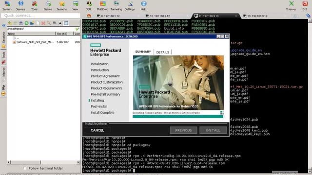 Install HPE NPS Server on RHEL 6.6 смотреть онлайн