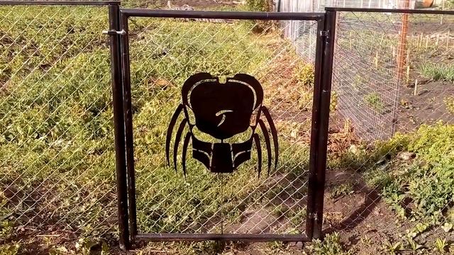 ГОЛОВА ХИЩНИКА У МЕНЯ НА ДВЕРИ!!!! смотреть онлайн