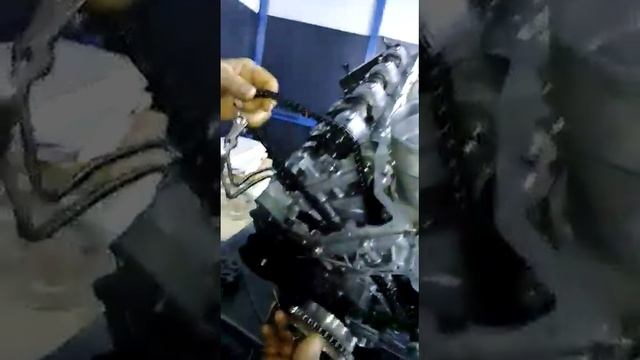 رنج روفر كيف توزت التيمنت وتركيب الفينوسات смотреть онлайн